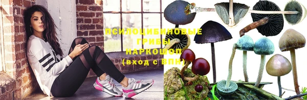 мяу мяу мука Аркадак
