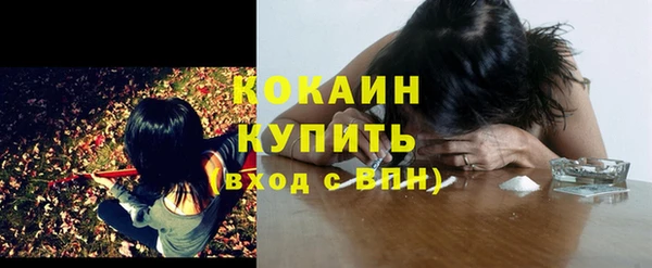 мяу мяу мука Аркадак